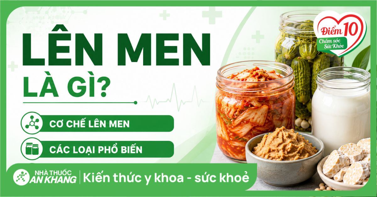 Lên men là gì? Cơ chế, các loại phổ biến và lợi ích đối với sức khỏe