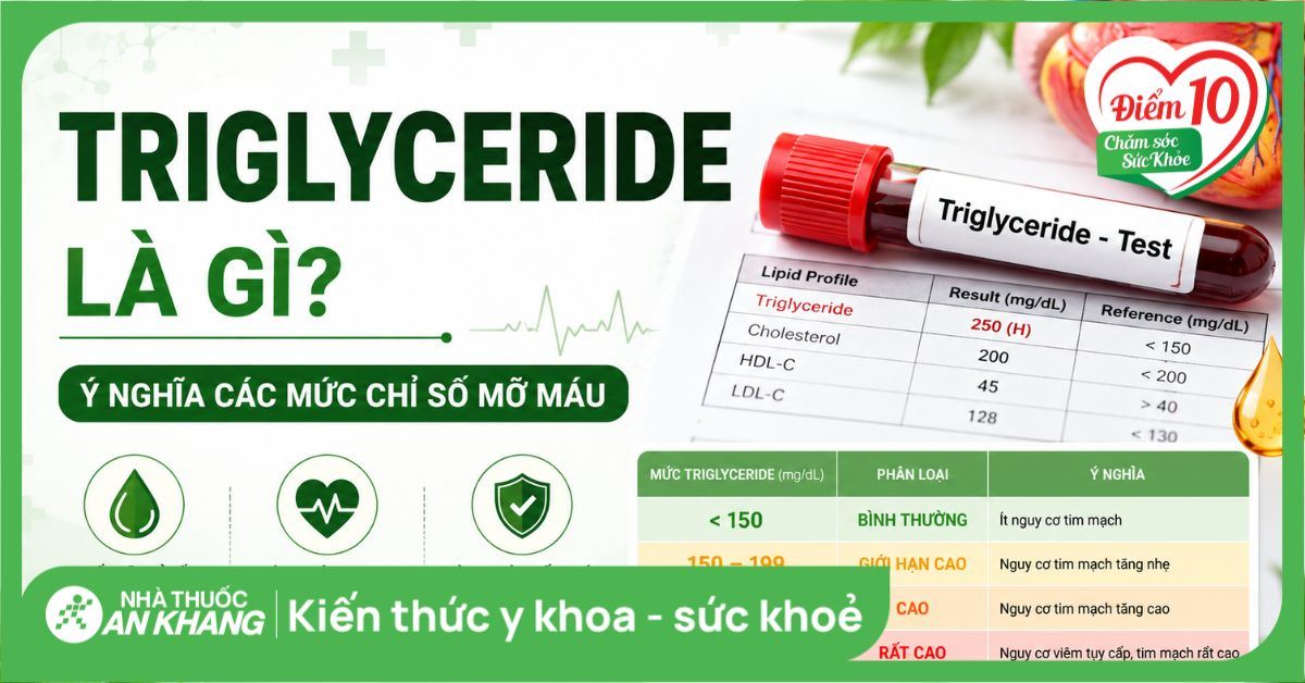 Triglyceride là gì? Ý nghĩa các mức chỉ số mỡ máu và cách kiểm soát