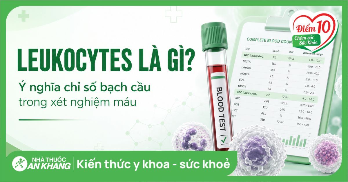 Leukocytes là gì? Ý nghĩa chỉ số bạch cầu trong xét nghiệm máu