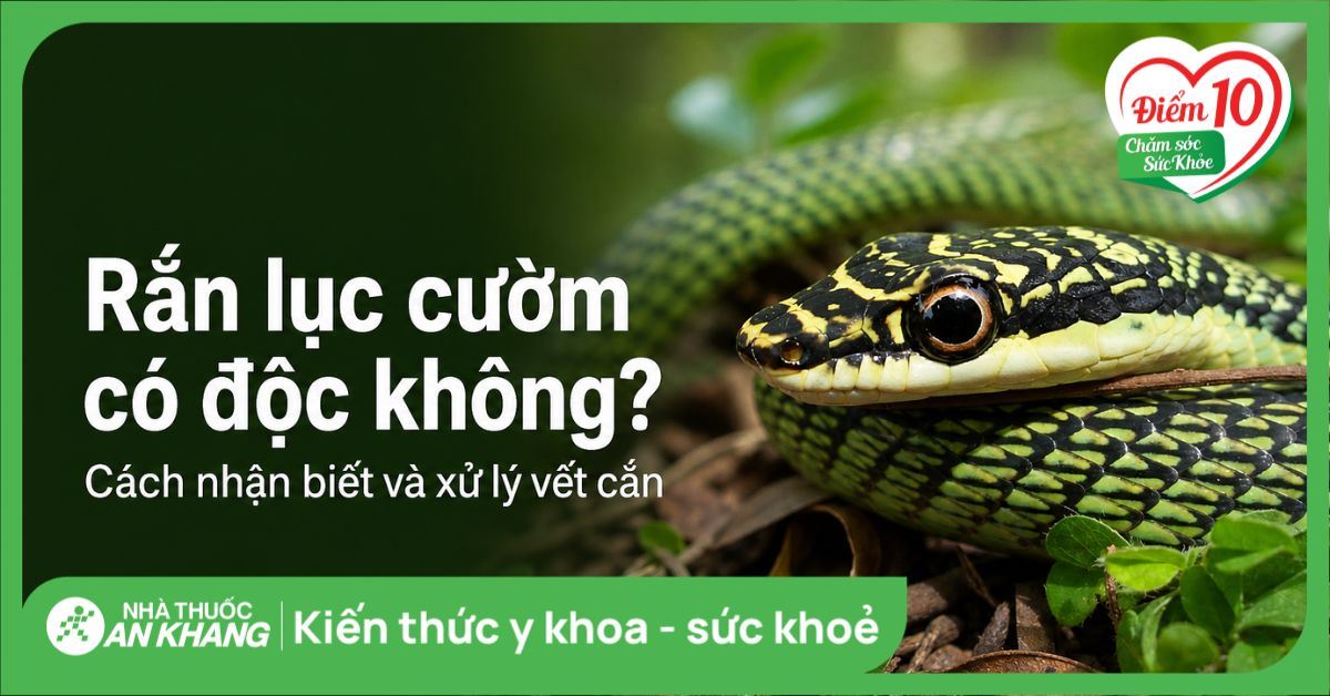 Rắn lục cườm có độc không? Cách nhận biết và xử lý vết cắn