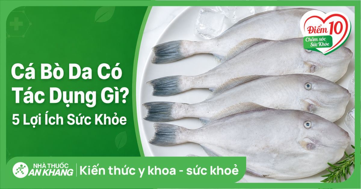 Cá bò da có tác dụng gì? 5 lợi ích sức khỏe và những lưu ý bạn cần biết