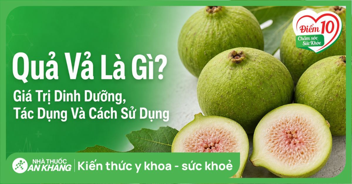 Quả vả là gì? Giá trị dinh dưỡng, tác dụng và cách sử dụng đúng cách