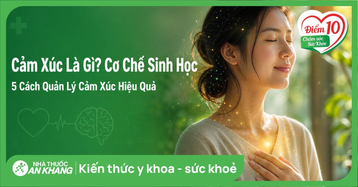 Cảm xúc là gì? Cơ chế sinh học và 5 cách quản lý cảm xúc hiệu quả