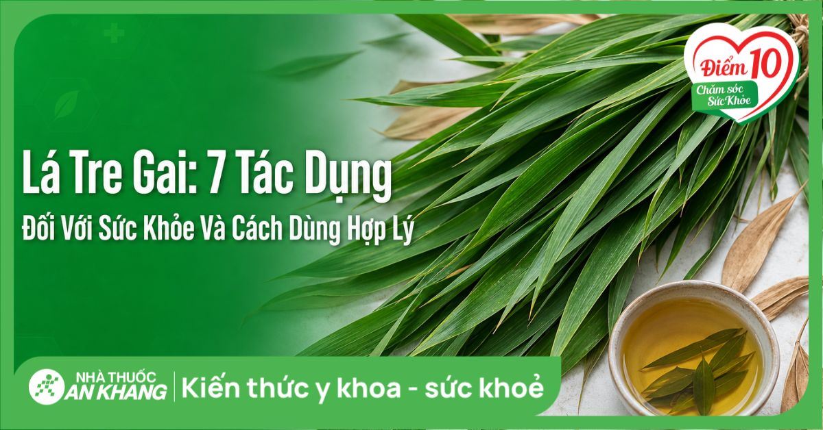 Lá tre gai: 7 tác dụng đối với sức khỏe và cách dùng hợp lý