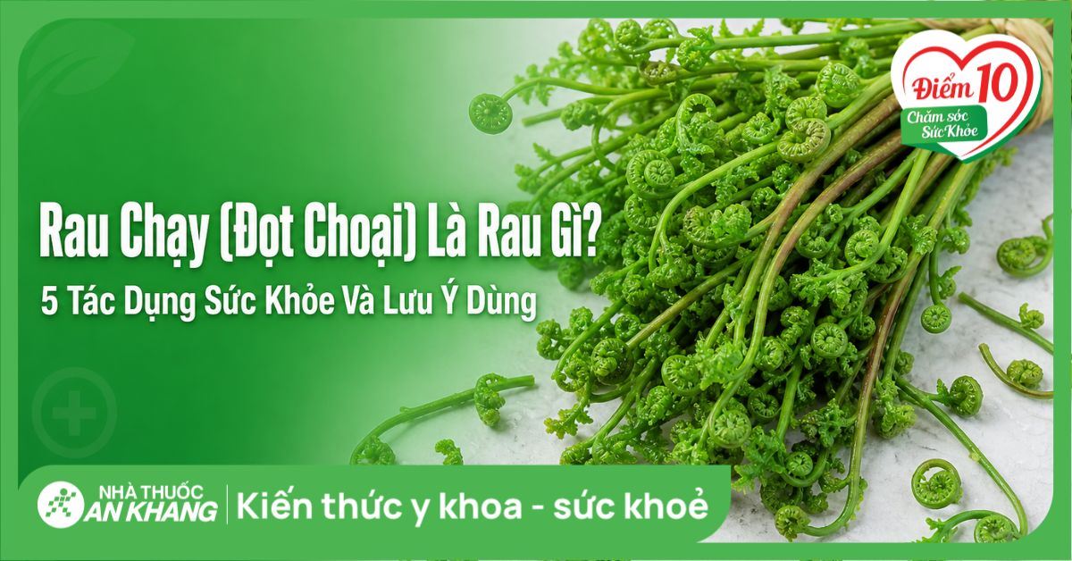 Rau chạy (đọt choại) là rau gì? 5 tác dụng sức khỏe và lưu ý dùng