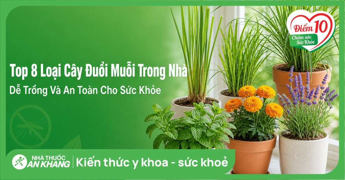 Top 8 loại cây đuổi muỗi trong nhà dễ trồng và an toàn cho sức khỏe