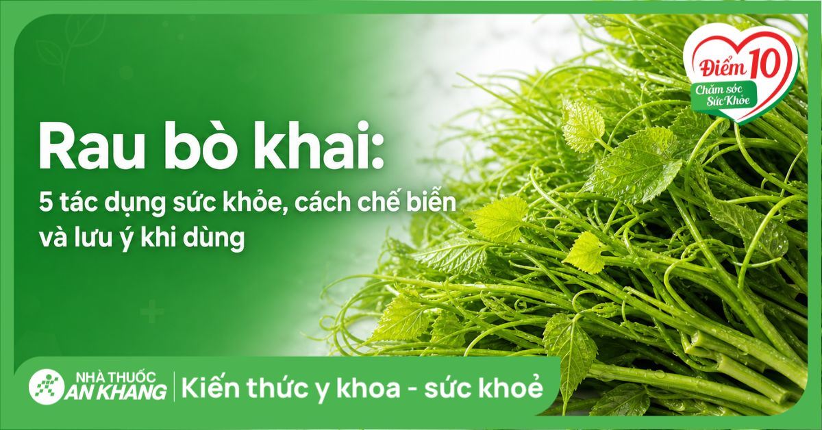 Rau bò khai: 5 tác dụng sức khỏe, cách chế biến và lưu ý khi dùng