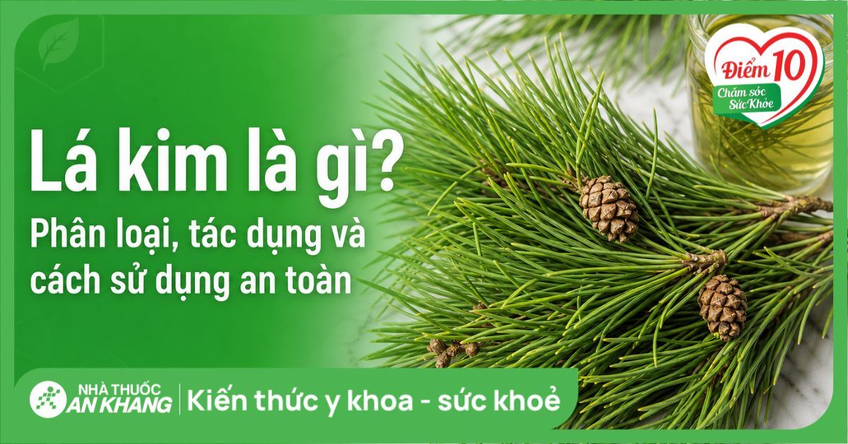 Lá kim là gì? Phân loại, tác dụng và cách sử dụng an toàn