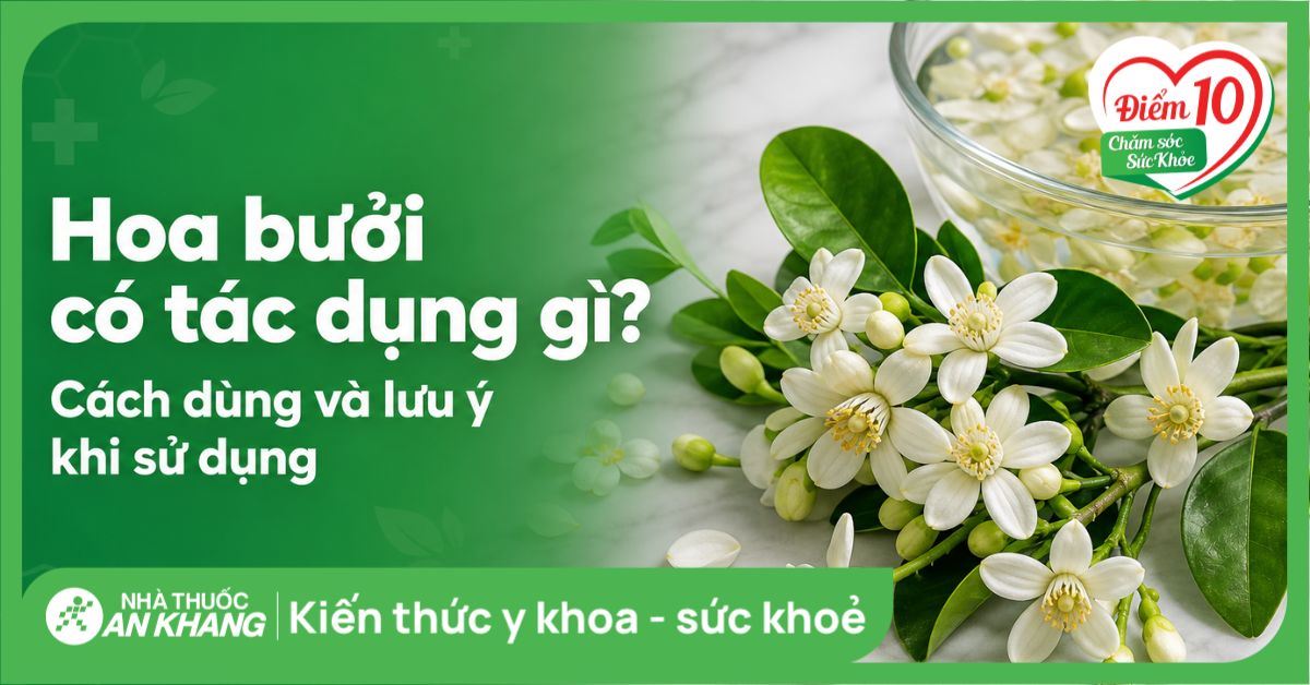 Hoa bưởi có tác dụng gì? Cách dùng và lưu ý khi sử dụng