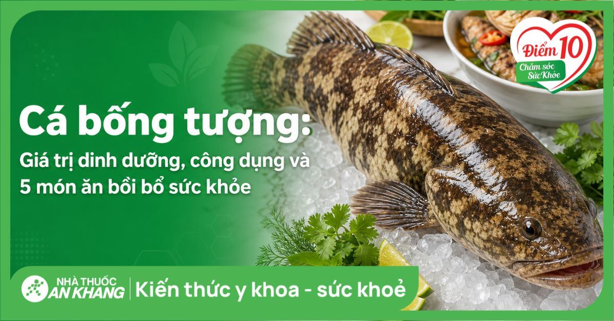 Cá bống tượng: Giá trị dinh dưỡng, công dụng và 5 món ăn bồi bổ sức khỏe