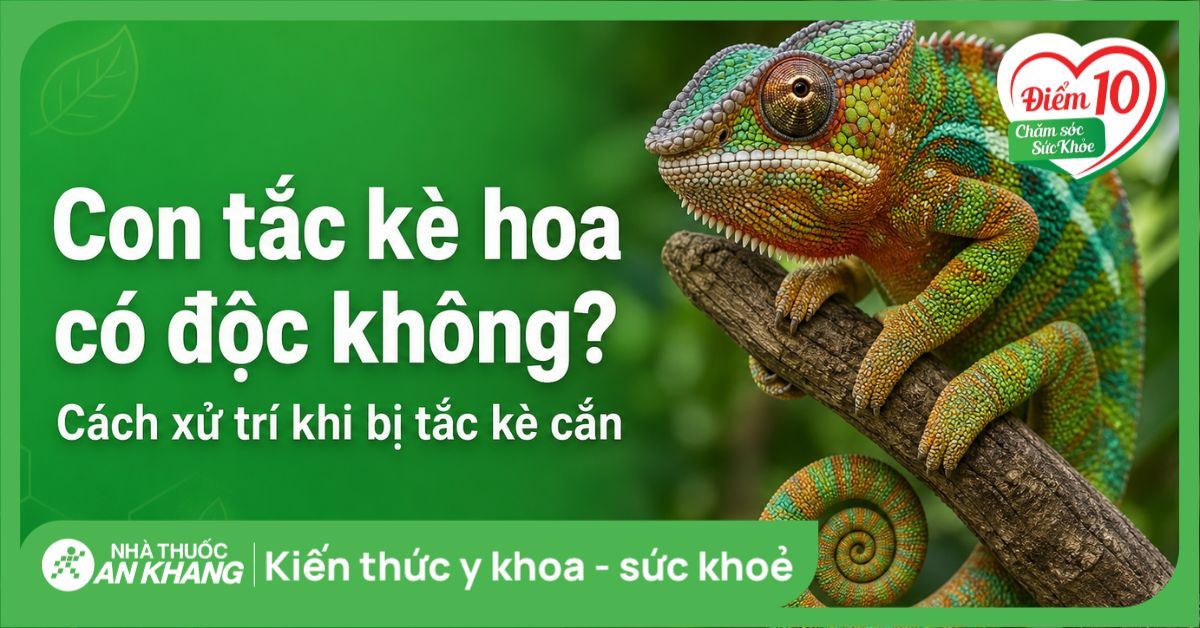 Con tắc kè hoa có độc không? Cách xử trí khi bị tắc kè cắn