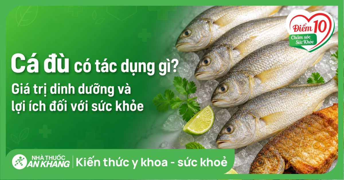 Cá đù có tác dụng gì? Giá trị dinh dưỡng và lợi ích đối với sức khỏe
