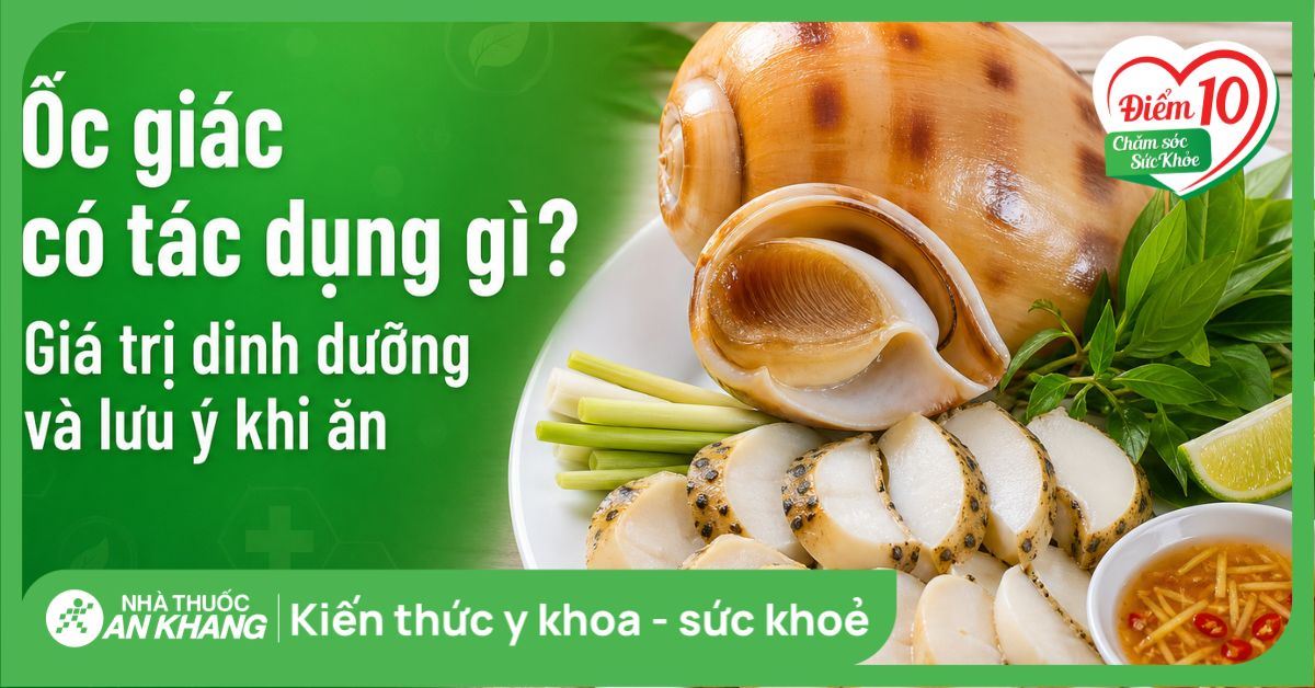 Ốc giác có tác dụng gì? Giá trị dinh dưỡng và lưu ý khi ăn
