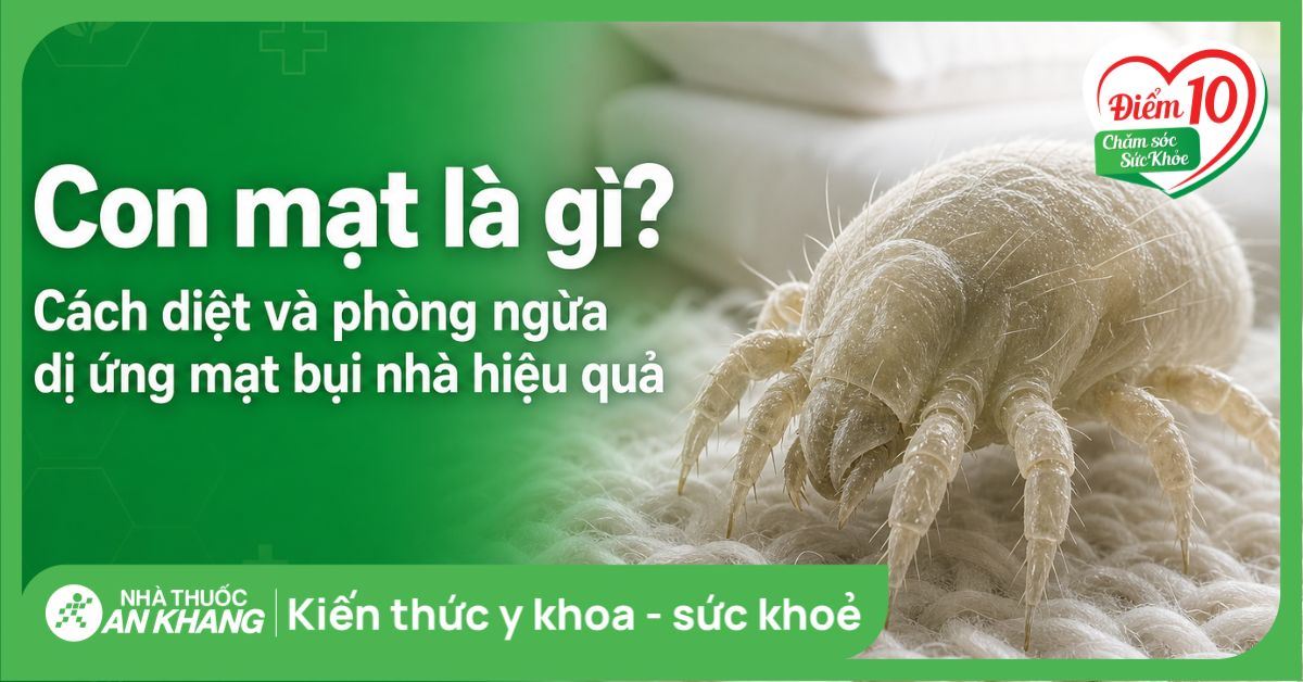 Con mạt là gì? Cách diệt và phòng ngừa dị ứng mạt bụi nhà hiệu quả