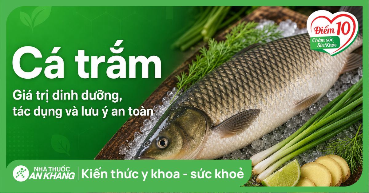 Cá trắm: Giá trị dinh dưỡng, tác dụng và lưu ý an toàn