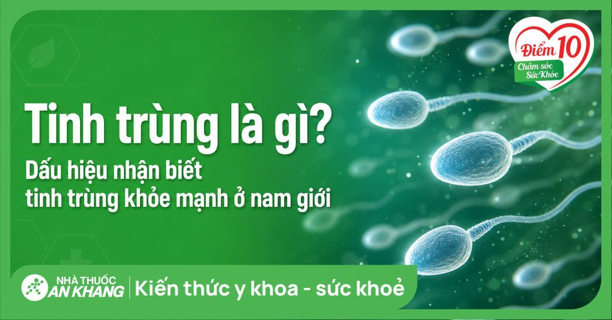 Tinh trùng là gì? Dấu hiệu nhận biết tinh trùng khỏe mạnh ở nam giới