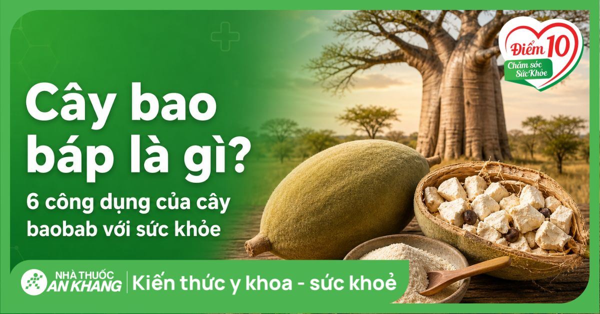 Cây bao báp là gì? 6 công dụng của cây baobab với sức khỏe