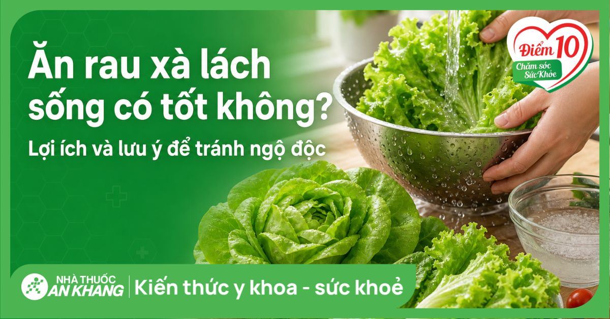 Ăn rau xà lách sống có tốt không? Lợi ích và lưu ý để tránh ngộ độc