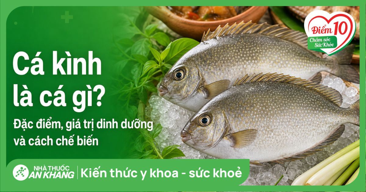 Cá kình là cá gì? Đặc điểm, giá trị dinh dưỡng và cách chế biến