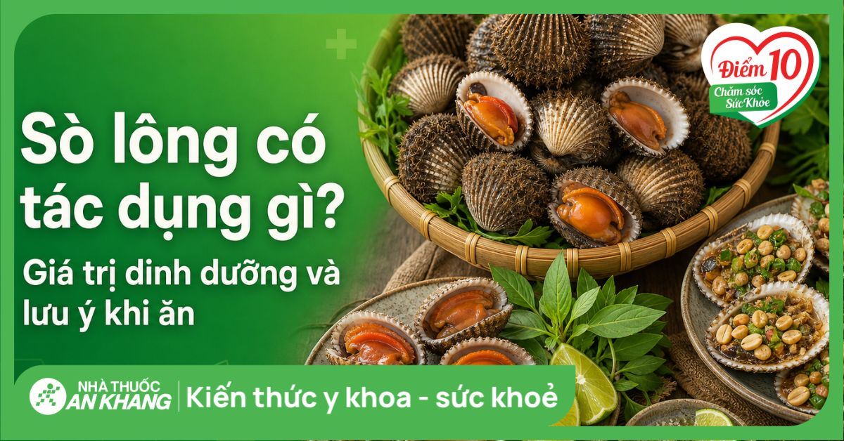 Sò lông có tác dụng gì? Giá trị dinh dưỡng và lưu ý khi ăn