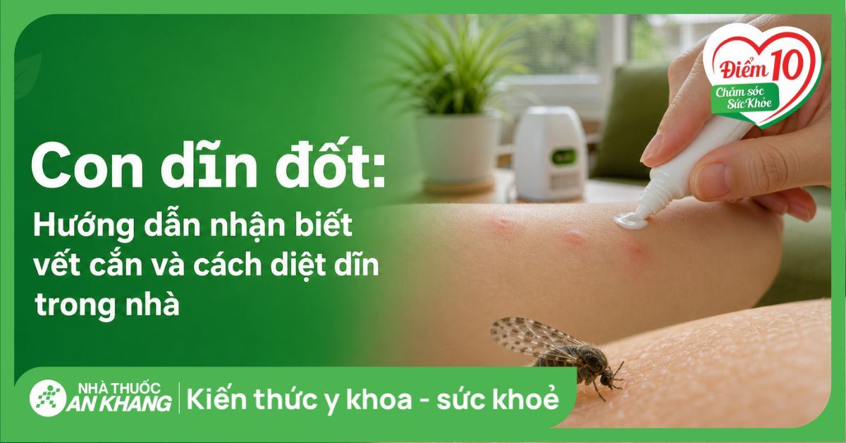 Con dĩn đốt: Hướng dẫn nhận biết vết cắn và cách diệt dĩn trong nhà