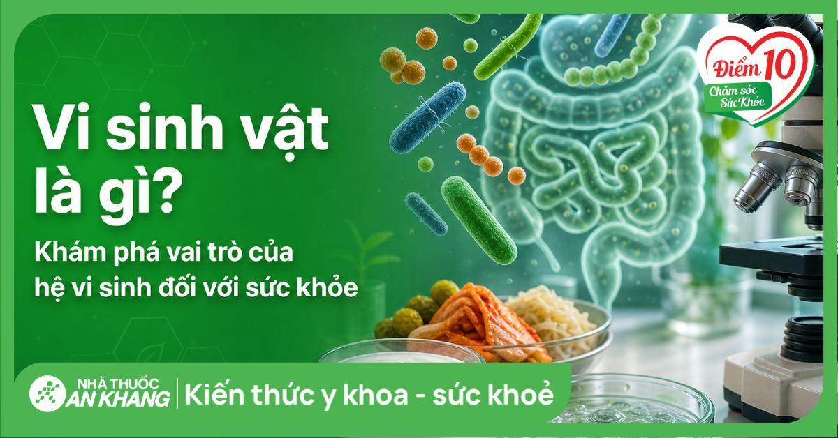 Vi sinh vật là gì? Khám phá vai trò của hệ vi sinh đối với sức khỏe