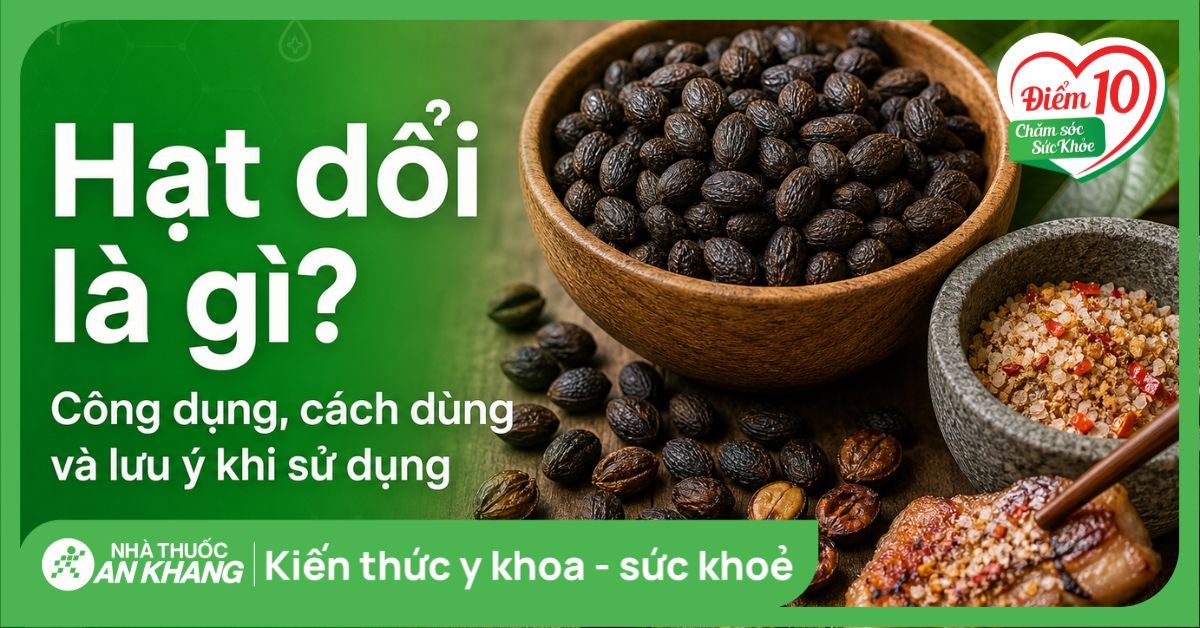Hạt dổi là gì? Công dụng, cách dùng và lưu ý khi sử dụng