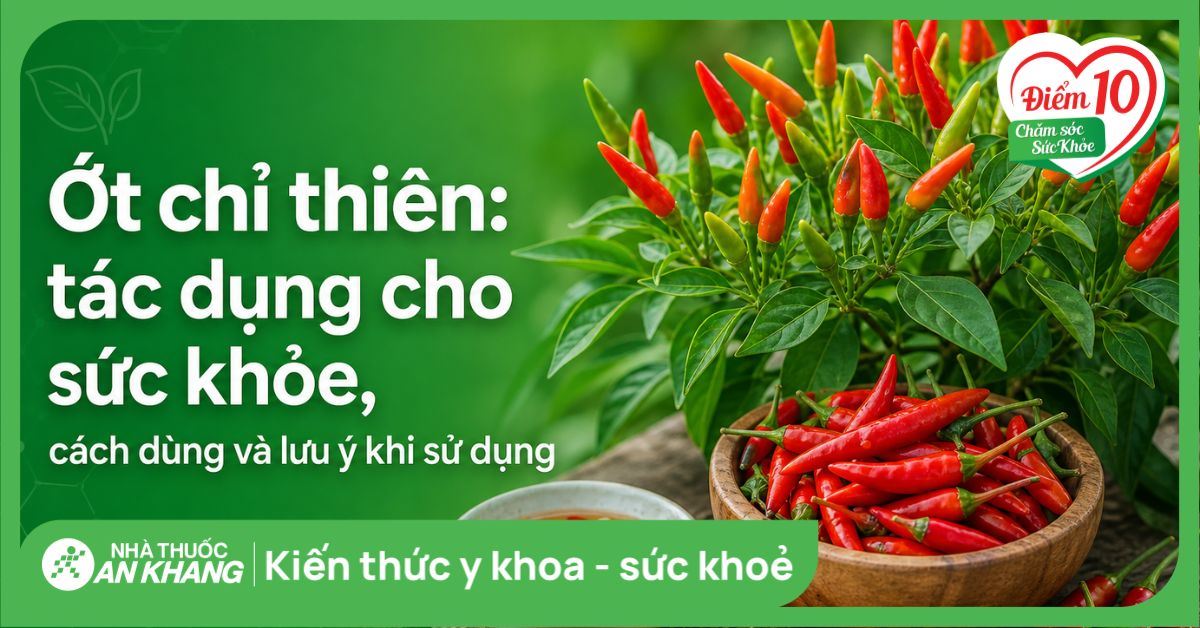 Ớt chỉ thiên: tác dụng cho sức khỏe, cách dùng và lưu ý khi sử dụng