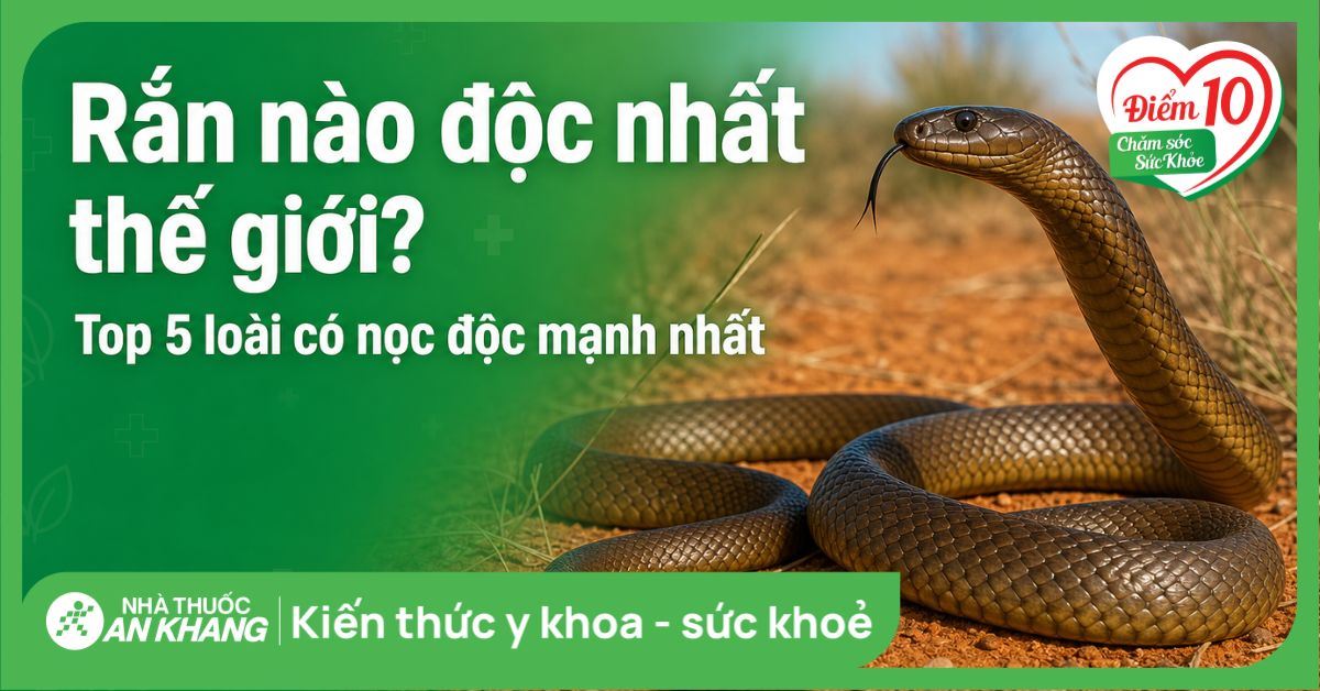 Rắn nào độc nhất thế giới? Top 5 loài có nọc độc mạnh nhất