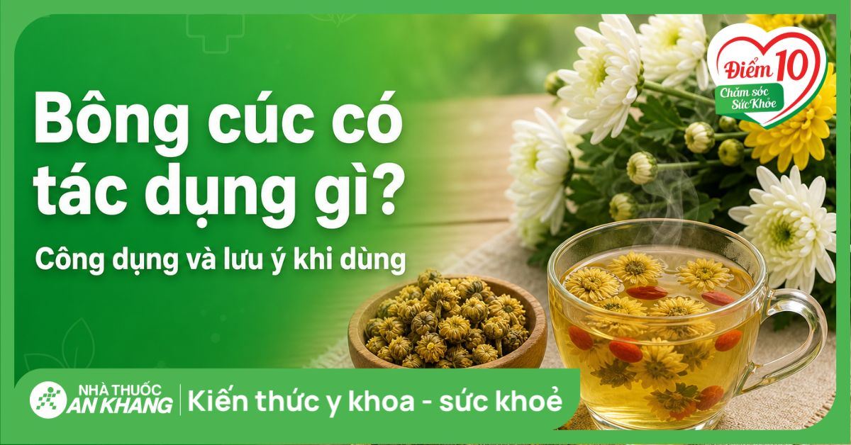 Bông cúc có tác dụng gì? Công dụng và lưu ý khi dùng