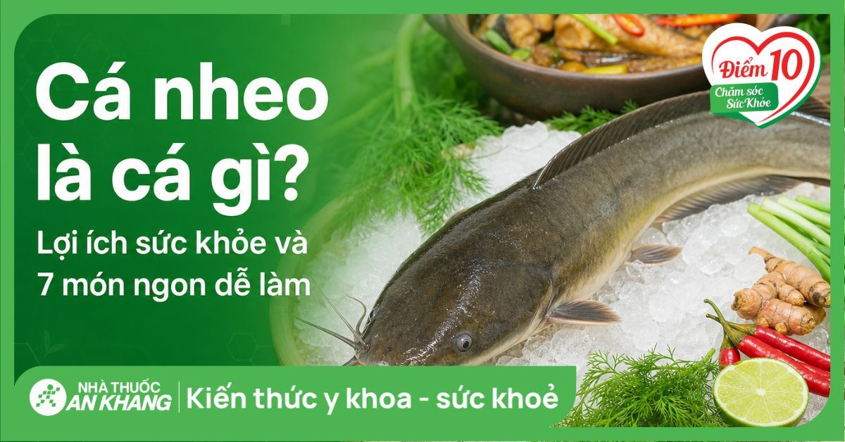 Cá nheo là cá gì? Lợi ích sức khỏe và 7 món ngon dễ làm