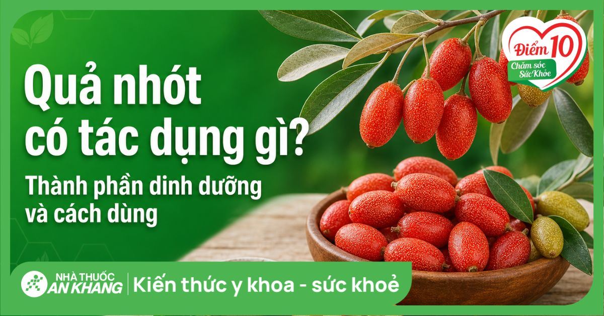 Quả nhót có tác dụng gì? Thành phần dinh dưỡng và cách dùng