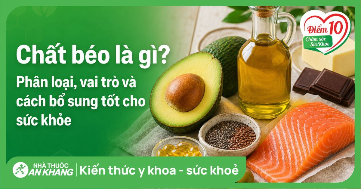 Chất béo là gì? Phân loại, vai trò và cách bổ sung tốt cho sức khỏe