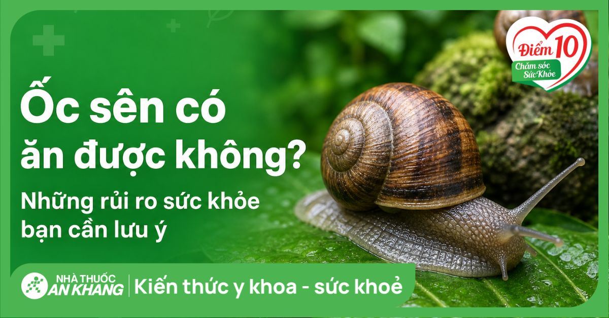Ốc sên có ăn được không? Những rủi ro sức khỏe bạn cần lưu ý