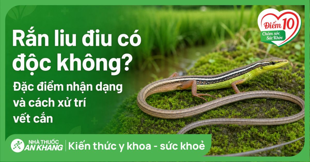 Rắn liu điu có độc không? Đặc điểm nhận dạng và cách xử trí vết cắn
