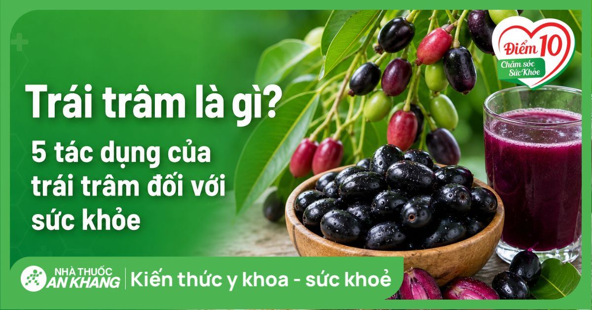 Trái trâm là gì? 5 tác dụng của trái trâm đối với sức khỏe