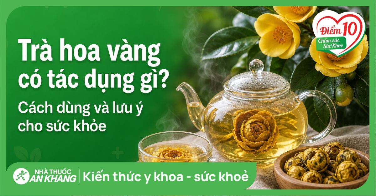 Trà hoa vàng có tác dụng gì? Cách dùng và lưu ý cho sức khỏe