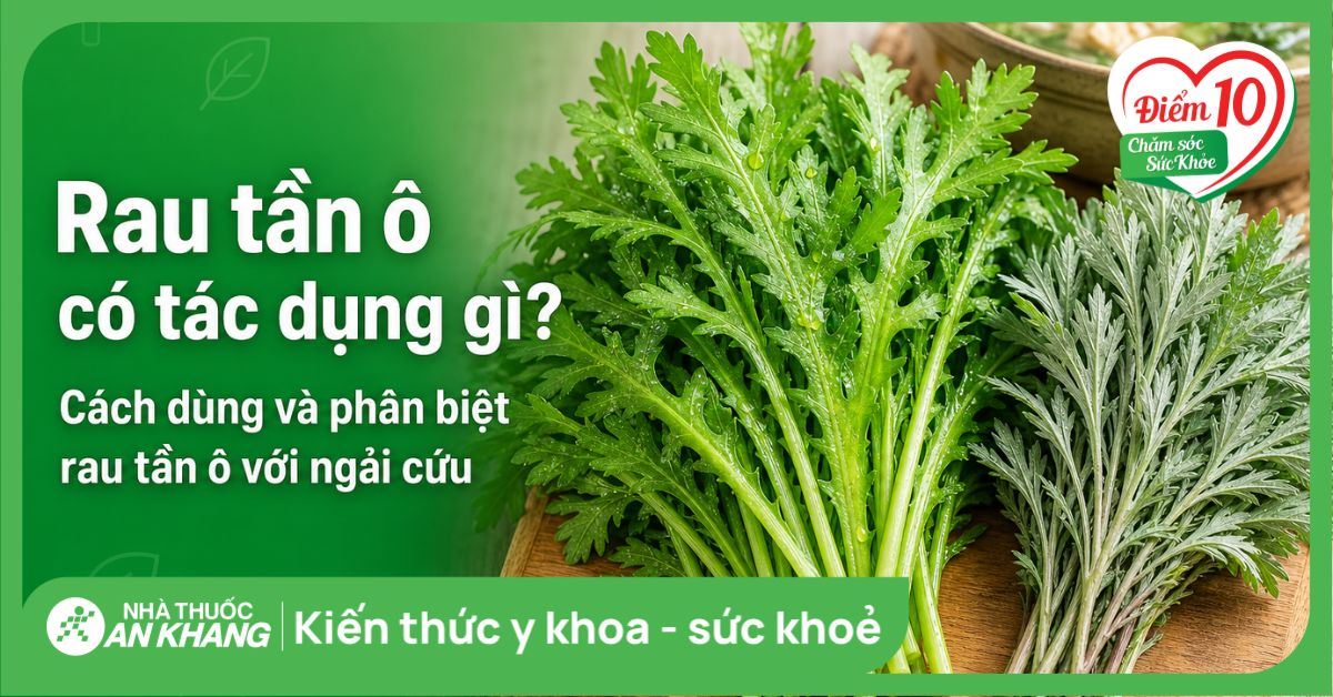 Rau tần ô có tác dụng gì? Cách dùng và phân biệt rau tần ô với ngải cứu