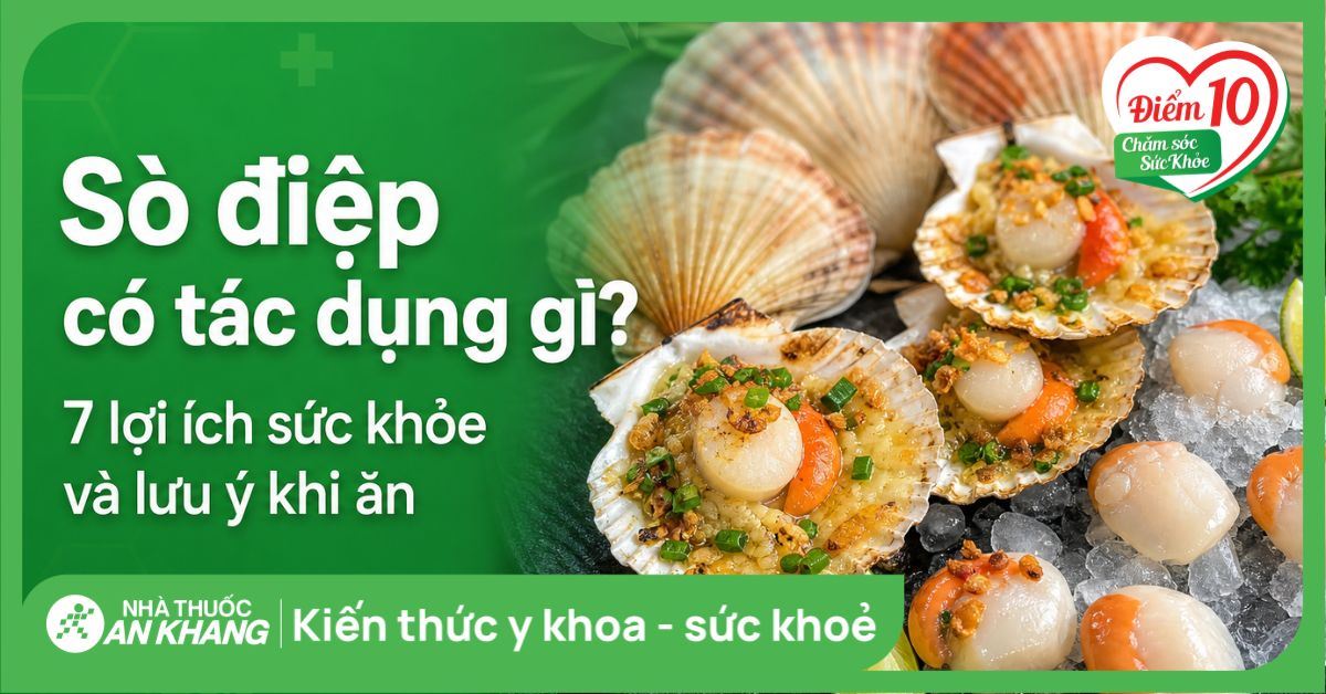 Sò điệp có tác dụng gì? 7 lợi ích sức khỏe và lưu ý khi ăn