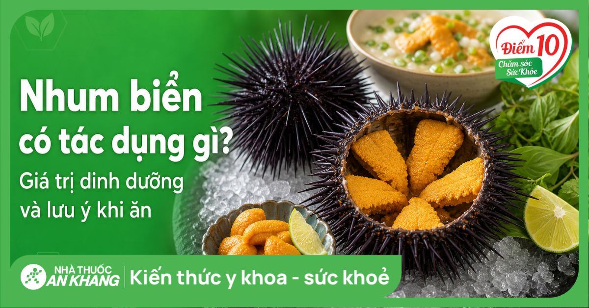 Nhum biển có tác dụng gì? 5 giá trị dinh dưỡng và lưu ý khi ăn