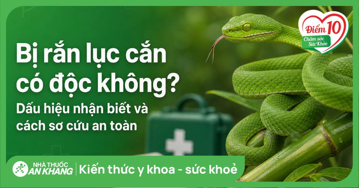 Rắn lục có độc không? Cách phân biệt và sơ cứu khi bị rắn lục cắn