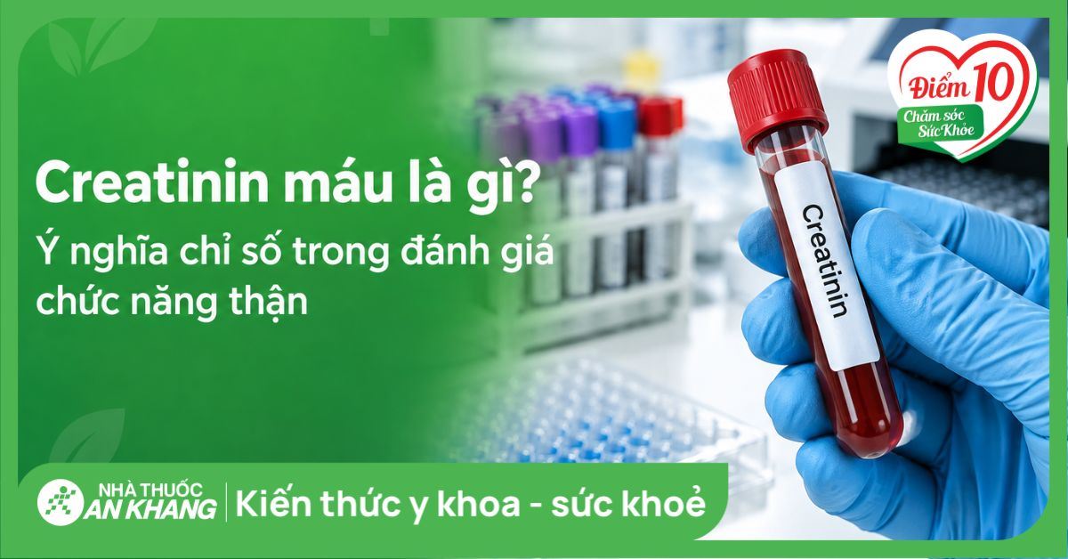 Creatinin máu là gì? Ý nghĩa chỉ số trong đánh giá chức năng thận