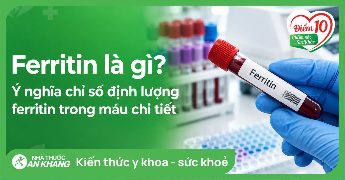 Ferritin là gì? Ý nghĩa chỉ số định lượng ferritin trong máu chi tiết