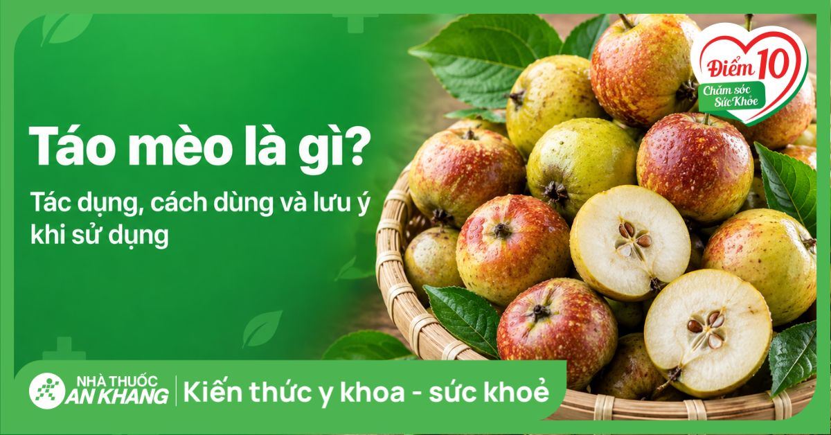 Táo mèo là gì? Tác dụng, cách dùng và lưu ý khi sử dụng
