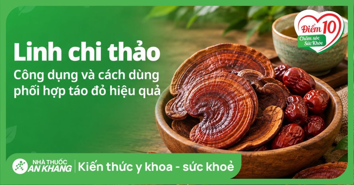 Linh chi thảo: Công dụng và cách dùng phối hợp táo đỏ hiệu quả