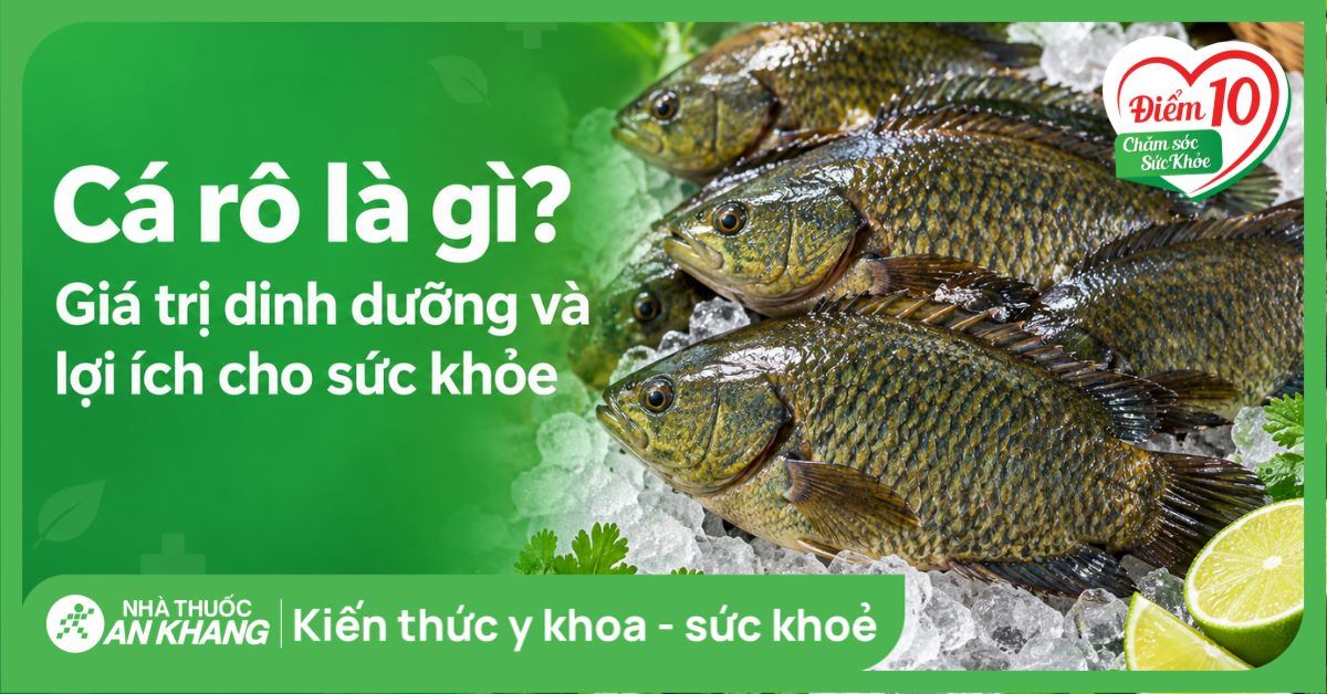 Cá rô là gì? Giá trị dinh dưỡng và lợi ích cho sức khỏe