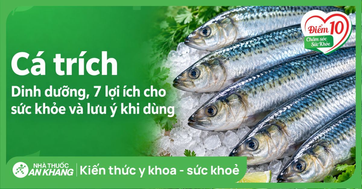 Cá trích: Dinh dưỡng, 7 lợi ích cho sức khỏe và lưu ý khi dùng