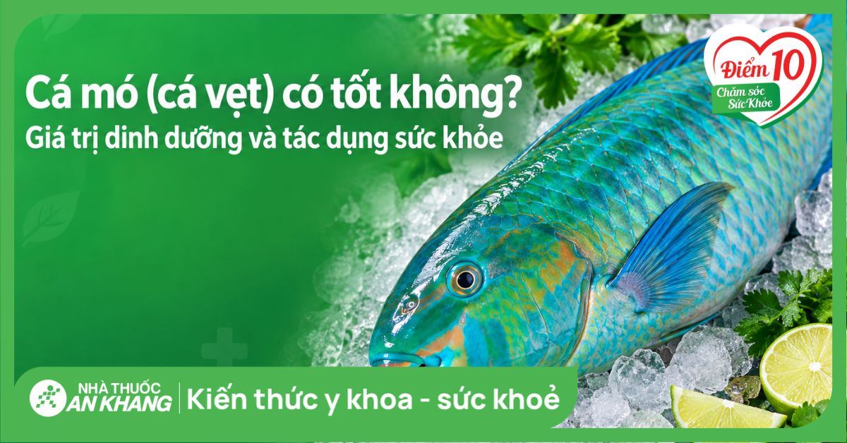 Cá mó (cá vẹt) có tốt không? Giá trị dinh dưỡng và tác dụng sức khỏe