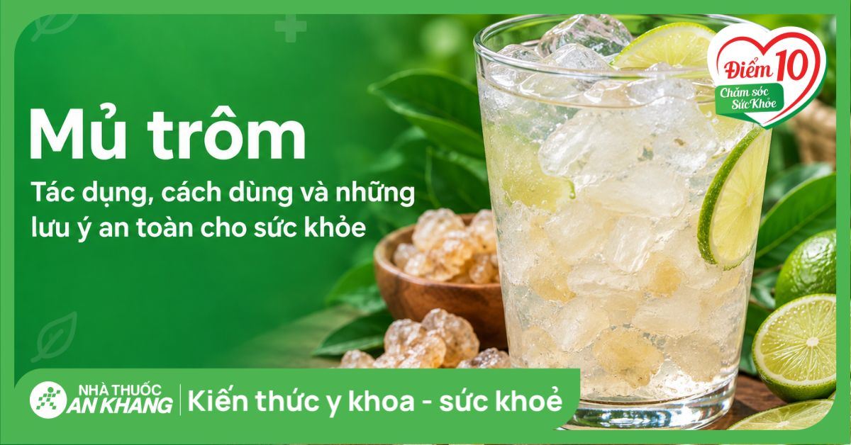 Mủ trôm: Tác dụng, cách dùng và những lưu ý an toàn cho sức khỏe
