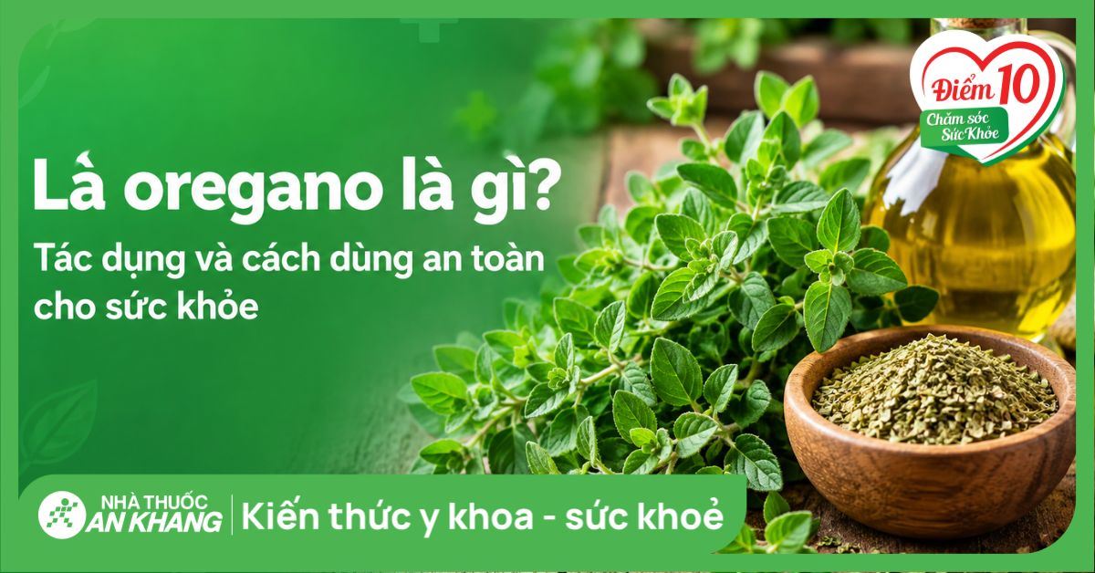 Lá oregano là gì? Tác dụng và cách dùng an toàn cho sức khỏe